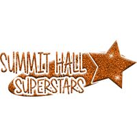 GLT100 ORANGE GLITTER Thumbnail